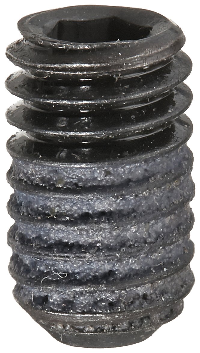 Amazon.com: Hitachi 307956 Hex Socket Set Screw M6X10 Replacement